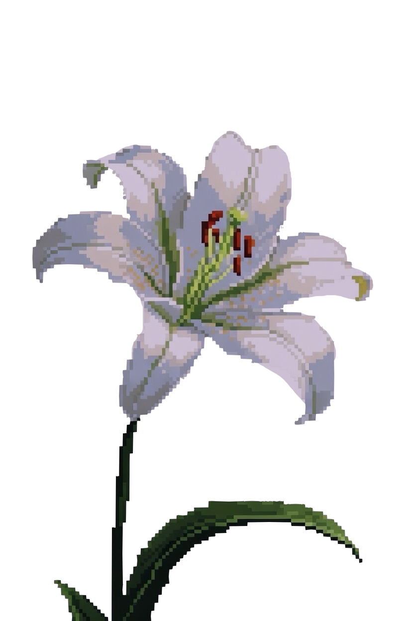 手向けられた花